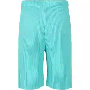 Homme Pliss Issey Miyake