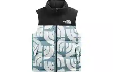 The North Face 1996 Nuptse