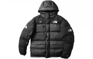 The North Face Urban Exploration Himalayan Parka Black