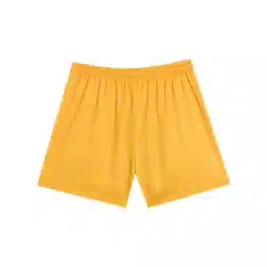 RIGORER Shorts