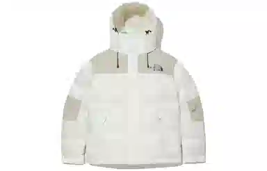 THE NORTH FACE Summit Pro Down Jacket