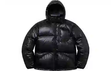 Supreme Featherweight Down Jacket
