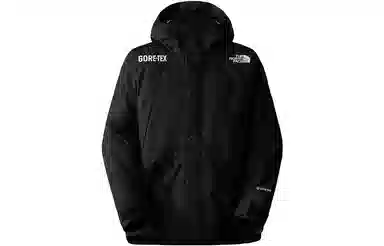 The North Face GTX Mountain Jacket Black