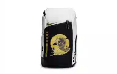 Nike Hoops Elite 811