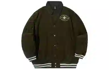PJ's Vigor logo