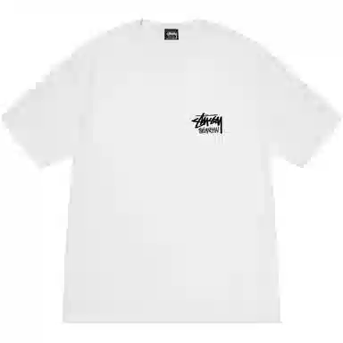 Stussy SS25 logoT