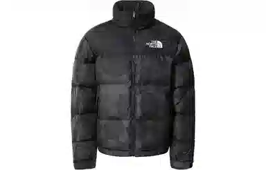 THE NORTH FACE 1996 Retro Nupts 700