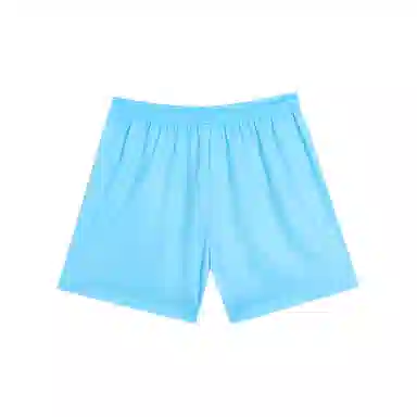 RIGORER Shorts