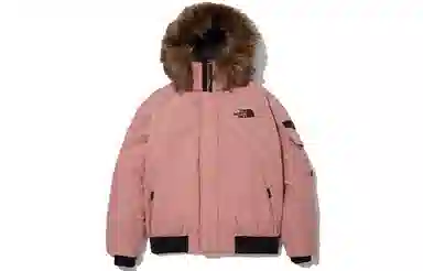 The North Face Eco Polar Air Down Jacket