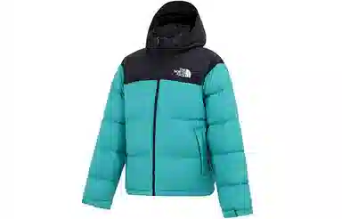 THE NORTH FACE 1996 Retro Nuptse 700