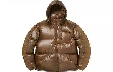 Supreme Featherweight Down Jacket