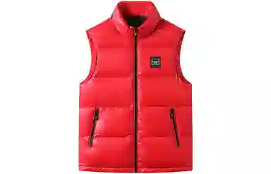 鸭鸭 轻薄立领休闲保暖纯色马甲 男款