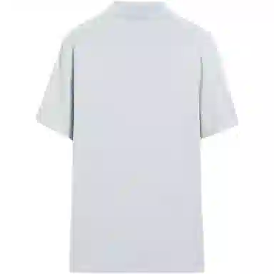 Massimo Dutti VPolo