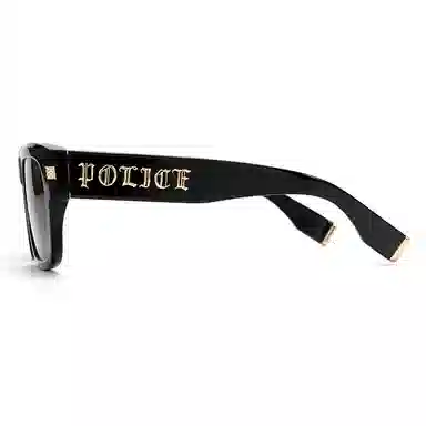 police INS