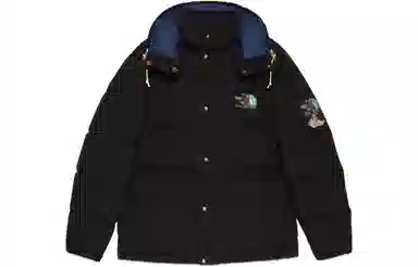 GUCCI x THE NORTH FACE FW22 Down Jacket Black