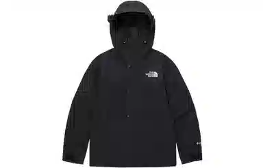 THE NORTH FACE 1990 Gore-tex