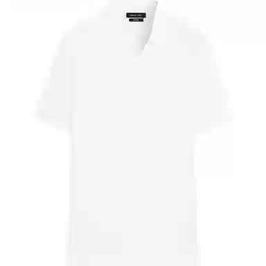 Massimo Dutti VPolo