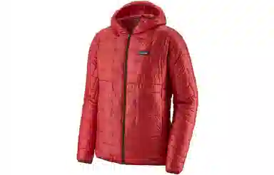 patagonia