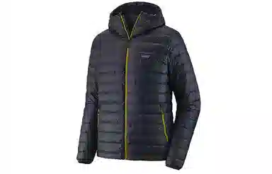 patagonia Down Sweater 800