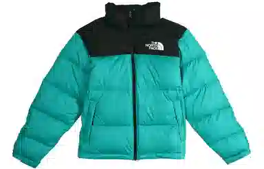 The North Face 1996 Retro 700 Down Jacket
