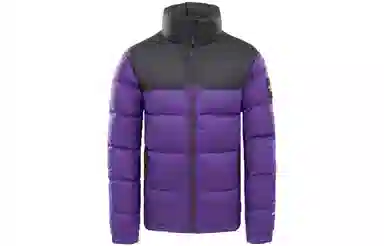 THE NORTH FACE 1992 Nuptse Jacket Tillandsia PrplAsphalt Grey