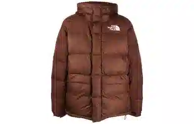 The North Face Himalayan Parka Brown