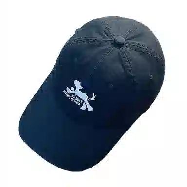 杨同学 防晒遮阳帽 棉 鸭舌帽 男女同款情侣款