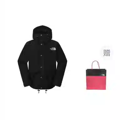 THE NORTH FACE 1986 logo