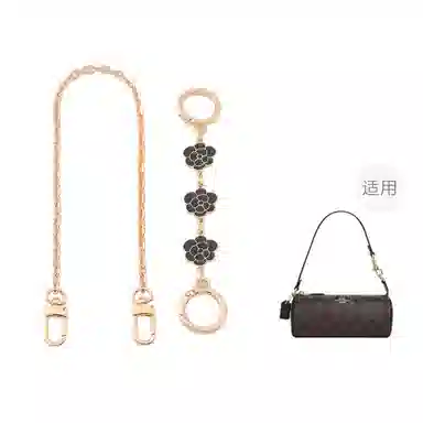 COACHnolita20