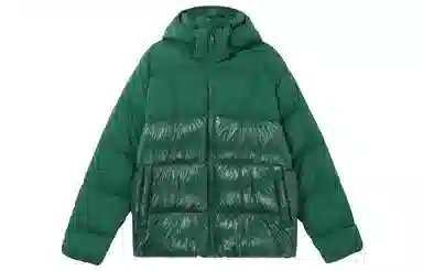 adidas Adicolor Down Regen Hooded Puffer Jacket