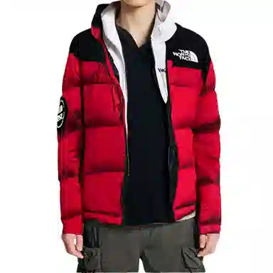 THE NORTH FACE 1992 30 Logo