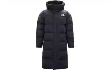 THE NORTH FACE FW23 Logo