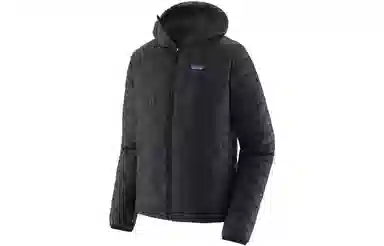 patagonia Micro Puff