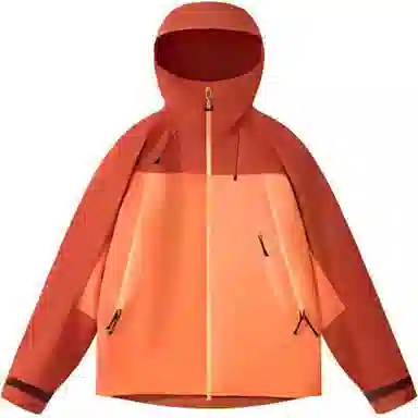 VECTOR
