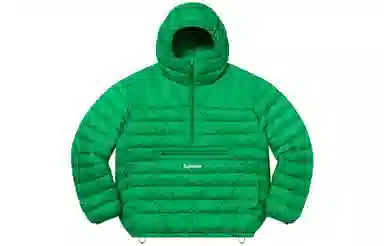 Supreme Micro Down Half Zip Hooded Pullover