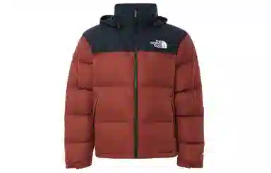THE NORTH FACE 1996 Retro Nuptse Jacket Logo