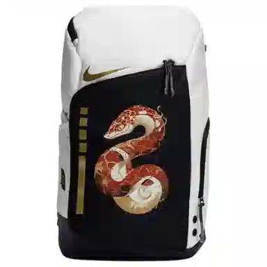 Nike Hoops Elite 811