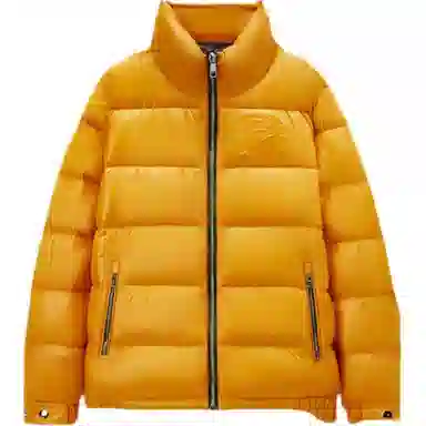 DEGAIA FW24