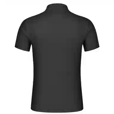 Automobili Lamborghini logoPolo