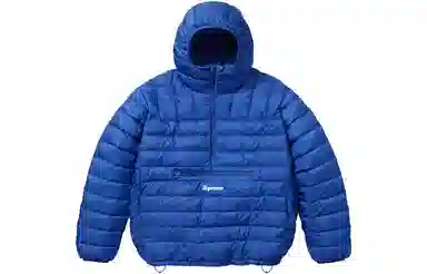Supreme Micro Down Half Zip Hooded Pullover