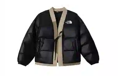 The North Face Nuptse 811