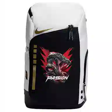 Nike Hoops Elite 811