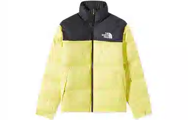 The North Face 1996 Logo Down Jacket