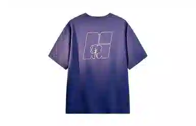 MANYSTON T