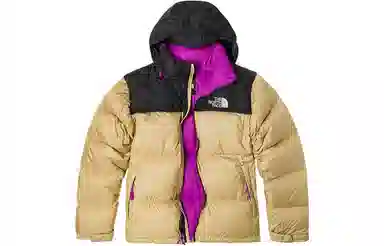 The North Face 1996 Nuptse