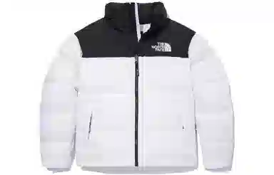 THE NORTH FACE M's 1996 Eco Nuptse Jacket Logo