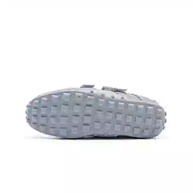 AQUASCUTUM