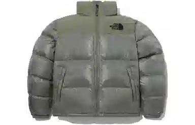 THE NORTH FACE FW23 Nuptse ON BALL