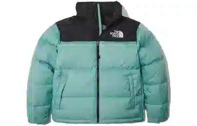 The North Face 1996 Logo Embroidered Mint