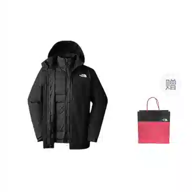 THE NORTH FACE